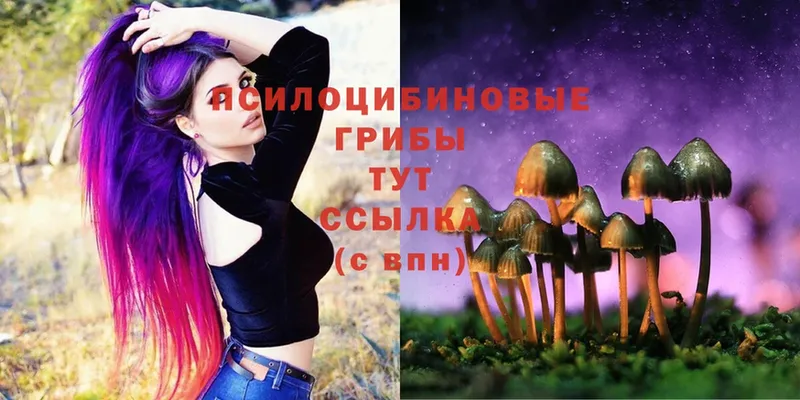 Галлюциногенные грибы MAGIC MUSHROOMS Магадан